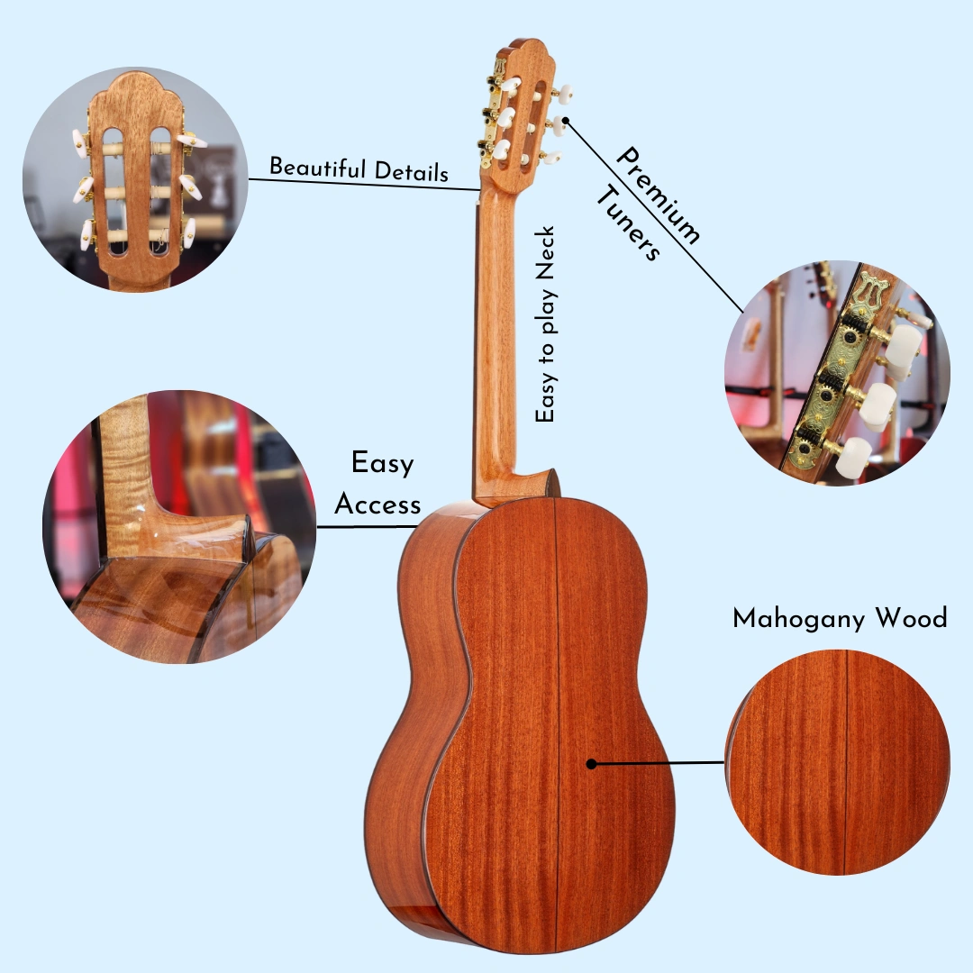 Traditional Classical Guitar